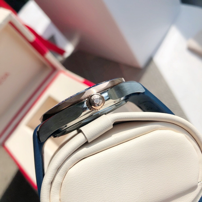 Omega Seamaster Elite Watch