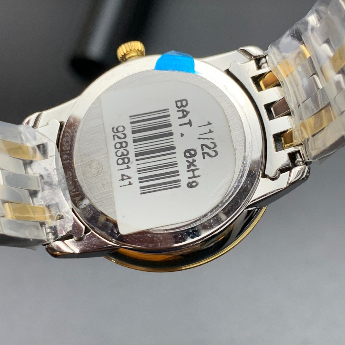 Butterfly Factory Real Shots