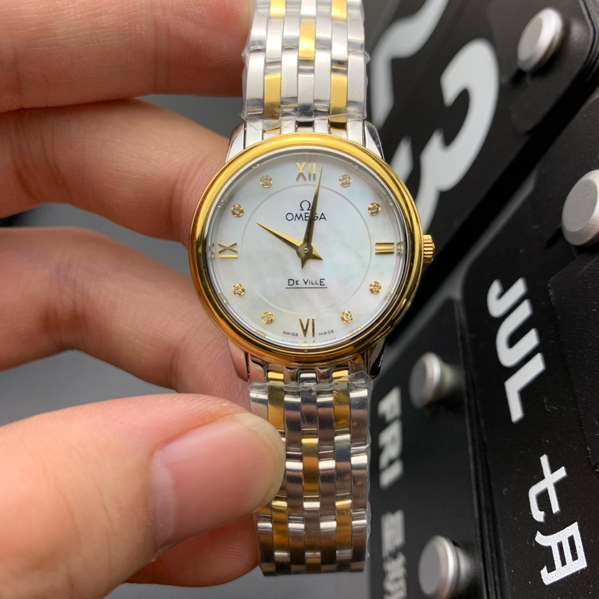 Butterfly Factory Real Shots