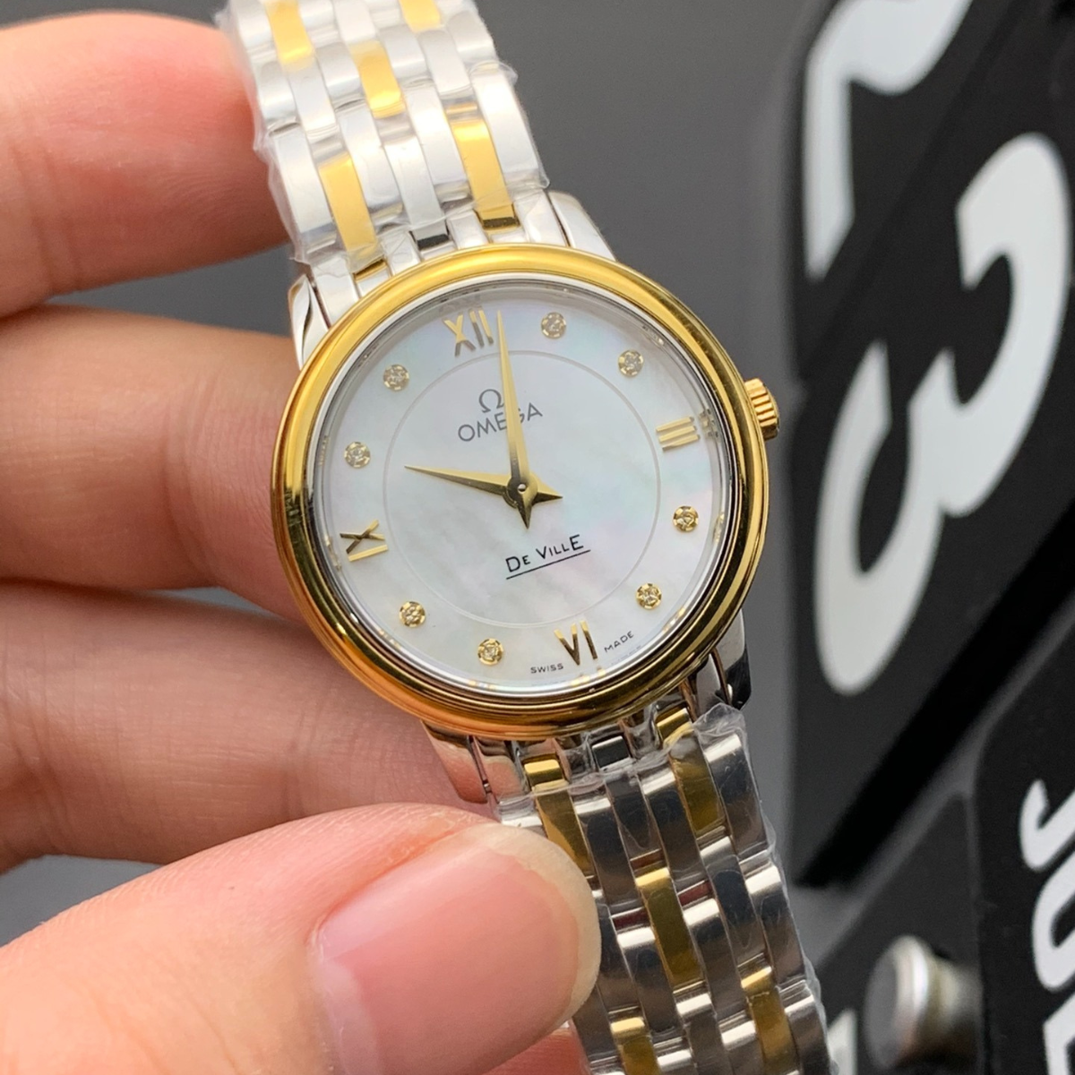 Butterfly Factory Real Shots