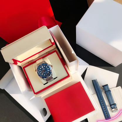 Omega Seamaster Diver 300m Watch