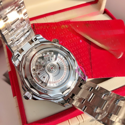 Omega Seamaster Professional Watch