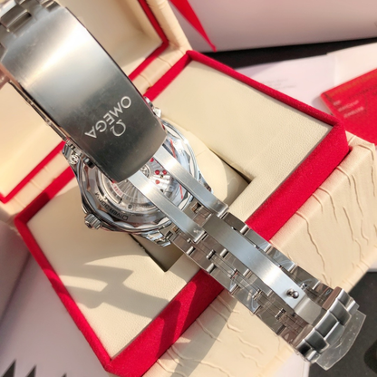 Omega Seamaster Professional Watch