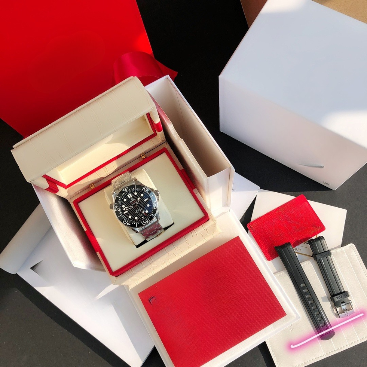 Omega Seamaster Professional Watch