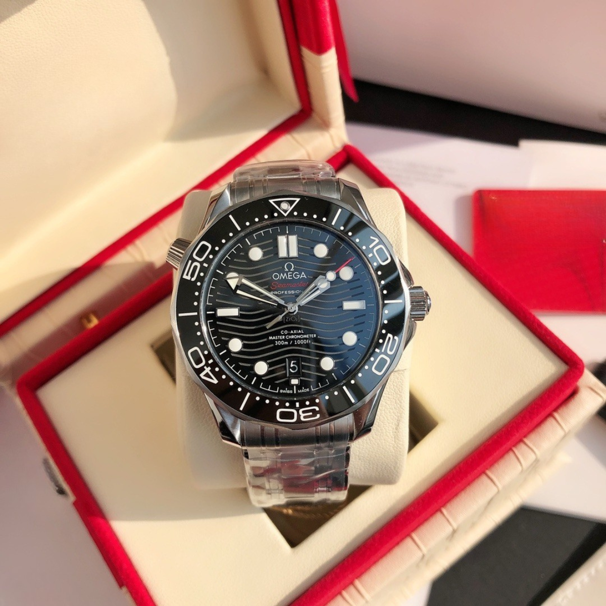 Omega Seamaster Professional Watch