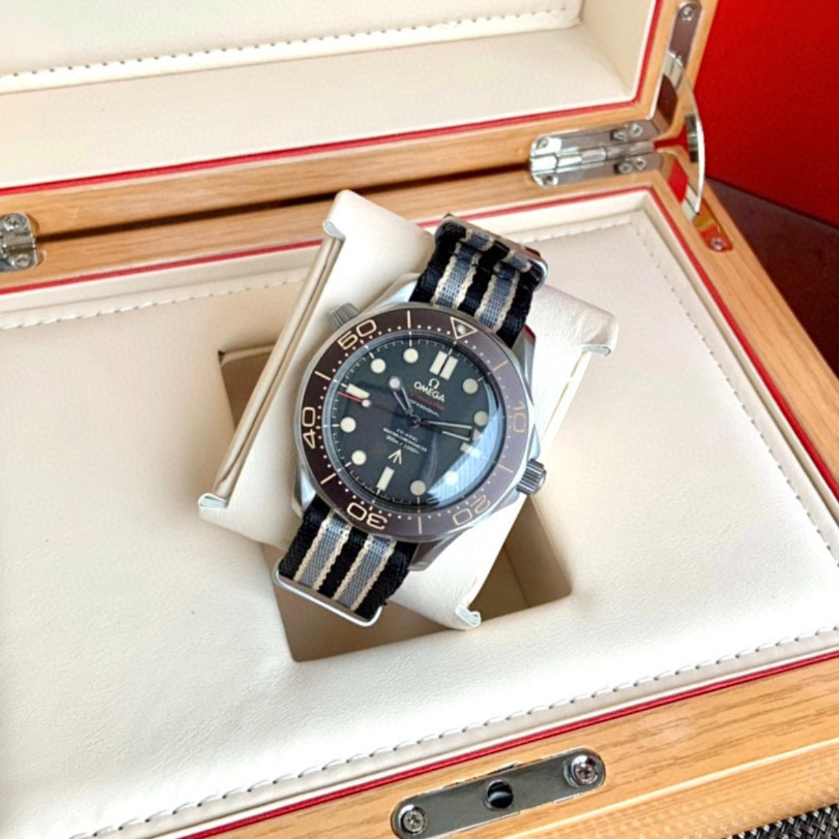 Omega Seamaster Co-Axial Black Dial Watch