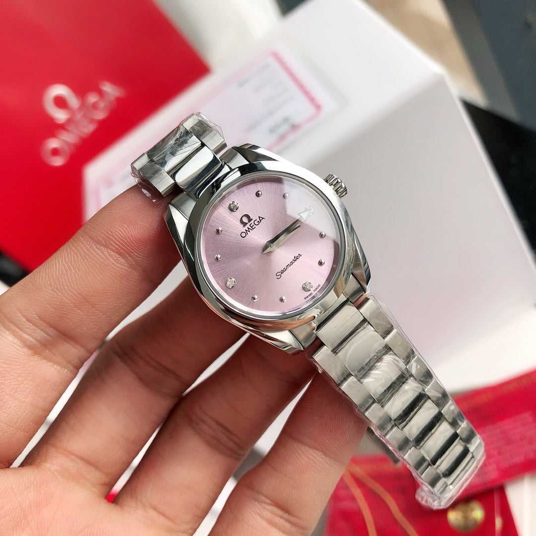 Omega Seamaster Terra Watch