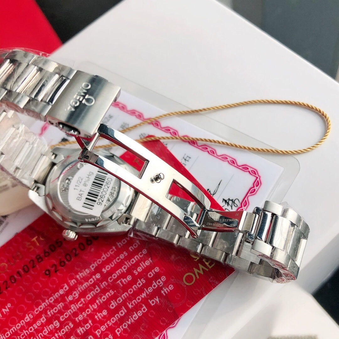 Omega Seamaster Terra Watch