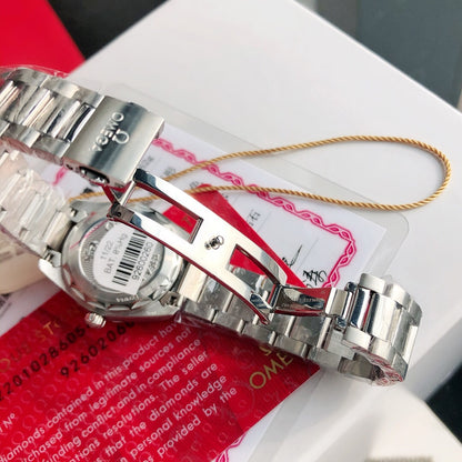 Omega Seamaster Terra Watch