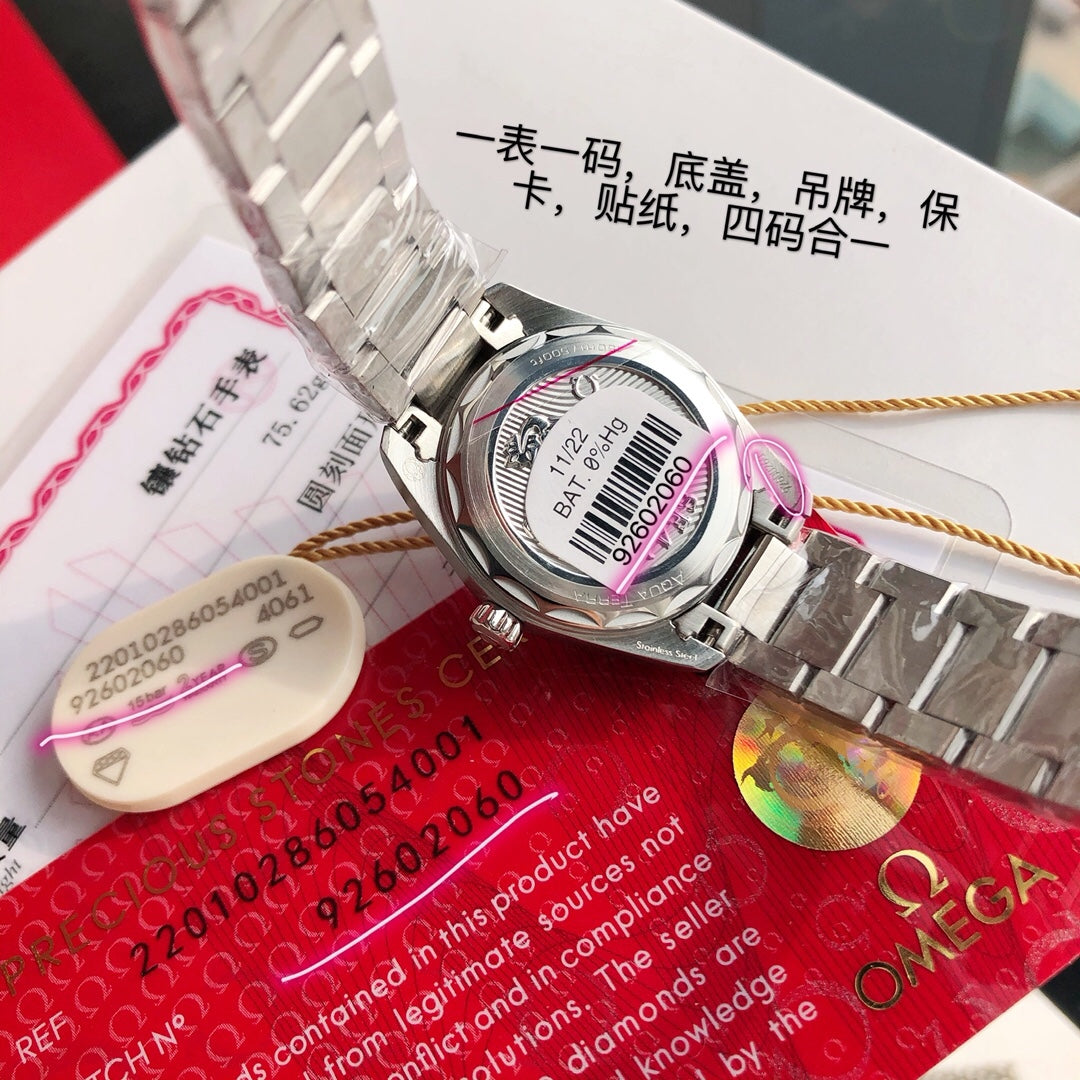 Omega Seamaster Terra Watch