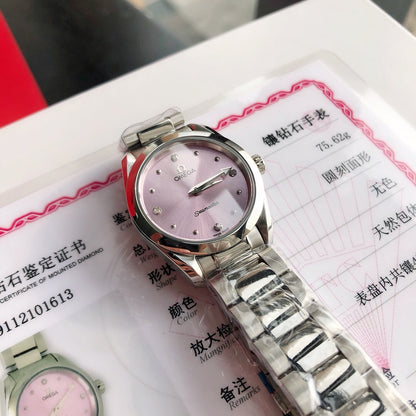 Omega Seamaster Terra Watch