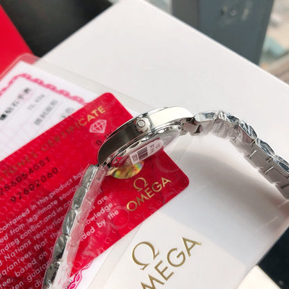 Omega Seamaster Terra Watch