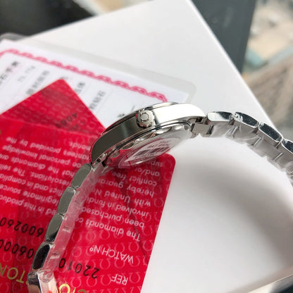 Omega Seamaster  Diamond Watch