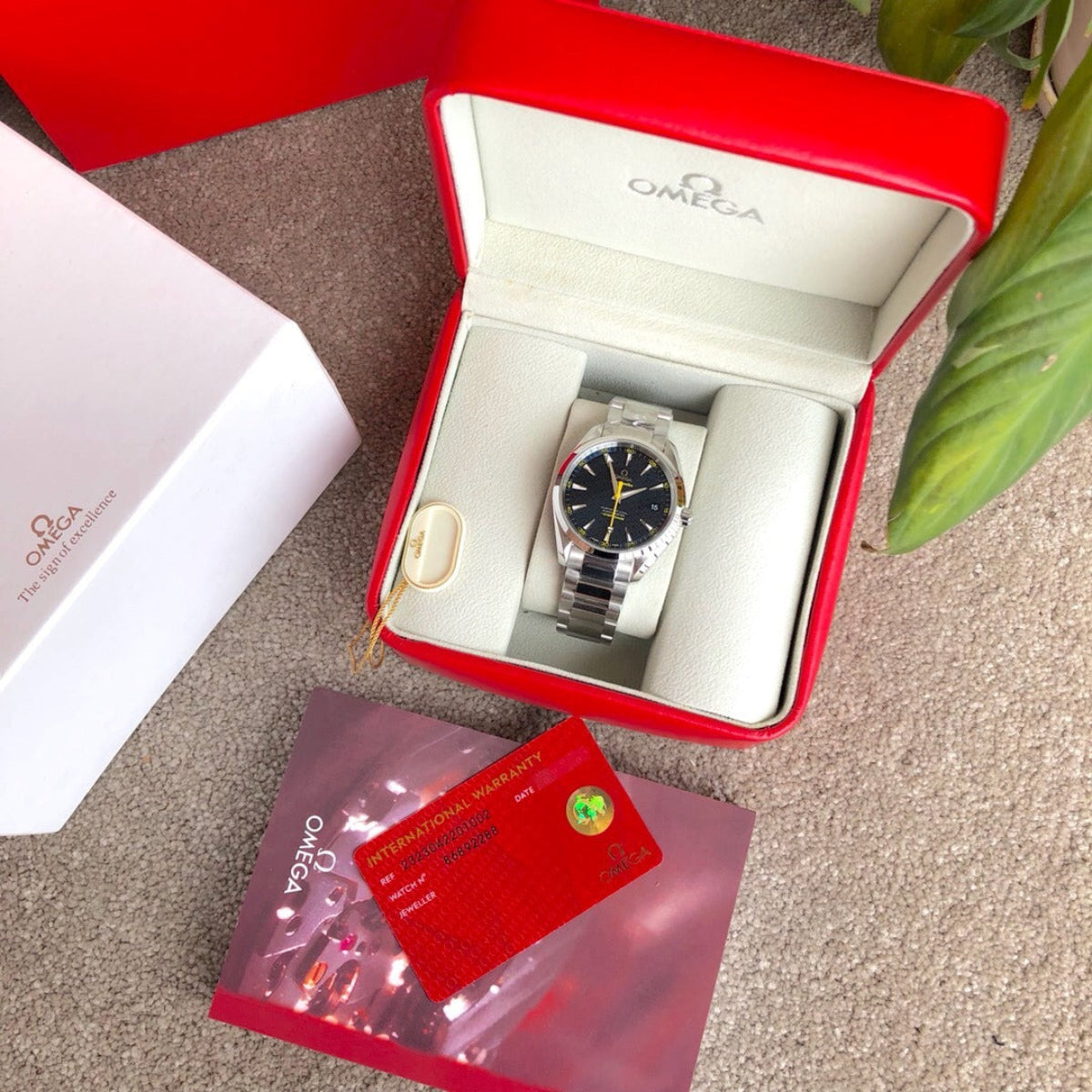 Omega Aqua Terra Gold